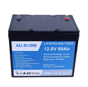 Batteria agli ioni di litio Lifepo4 12v 80Ah