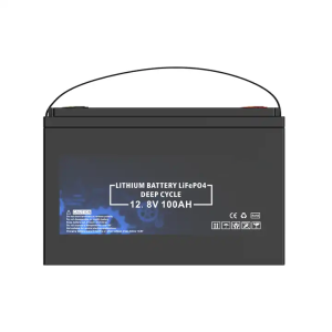 Batteria LiFePO4 12V 100Ah integrata a lunga durata BMS