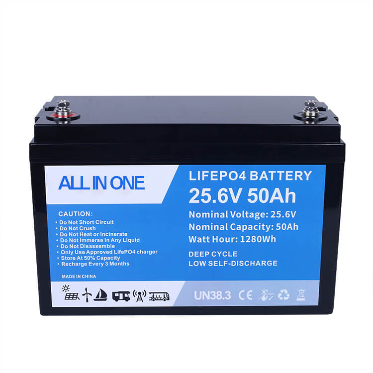 Batteria Litio LiFePO4 12V 100Ah - 5000 Cicli, BMS Integrato, Per Solar, Camper, Barche, UPS - Foto 2