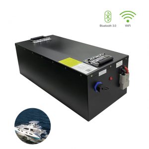 batterie ricaricabili LiFePO4 16S1P 48V 100Ah personalizzate flessibili Akku per pacco batterie per barche marine e yacht Con Bluetooth