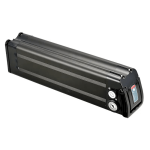 Pacco batteria ricaricabile al litio Silver Fish da 48 V 20 Ah 1000 W