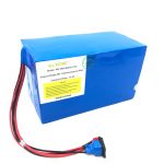 Pacco batteria al litio 18650 48V 40Ah personalizzato per E-bike, E-boat, Scooter elettrico