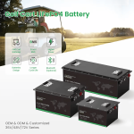 Vantaggi delle batterie LiFePO4 nei golf cart
