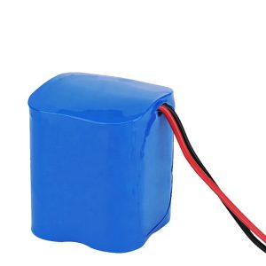 Batteria ricaricabile LiFePO4 32650 6.4V 10AH