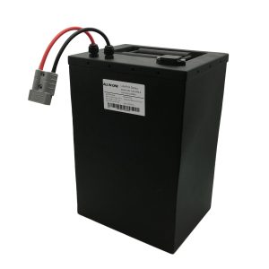 Batteria prismatica lifepo4 ALL IN ONE 72V40Ah per biciclette elettriche