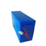 Batteria ricaricabile LiFePO 26650 36V 12AH